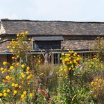 Photo taken by Susan H