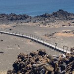 Photo taken by Stephanie A