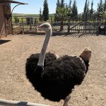 Photo taken by Colin L