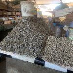 Photo taken by Kristin M