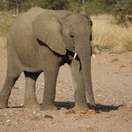 Photo taken by Sandro P