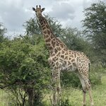 Photo taken by Jeanine B