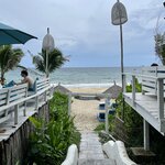 Photo taken by Vanessa V