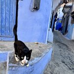 Photo taken by Kris C