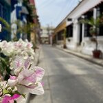 Photo taken by Ross V