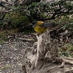 Photo taken by Thomas V