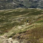 Follow the "T" | Photo taken by florence P