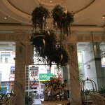 Photo taken by Brian C