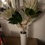 Photo taken by Jessica G