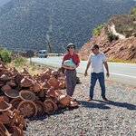 Photo taken by John P