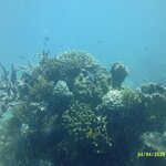 Photo taken by Spencer S