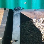 Photo taken by Sarah R