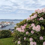 Photo taken by Karen M