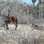 Photo taken by Pacita D