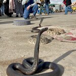 Photo taken by Bryan T