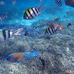 Photo taken by Dixie W