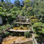 Photo taken by Peter F