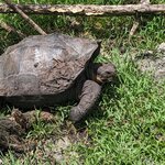 Photo taken by mimi s