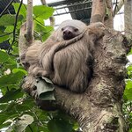 Photo taken by Brian L