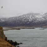 Photo taken by Dilip C