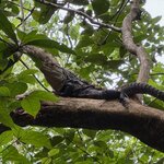 Photo taken by Chris H