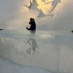 Photo taken by Tracy K