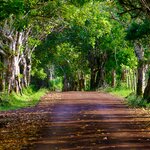 Photo taken by mindy n