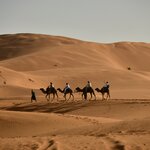 Photo taken by Indra S