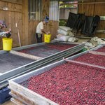 Photo taken by Linda W