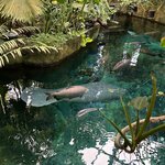 Photo taken by Jill B