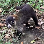 Photo taken by Joy E