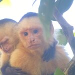 Photo taken by Kim L