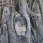 Photo taken by Brook D