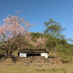 Photo taken by Peter S