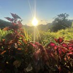 Photo taken by Jacqueline R