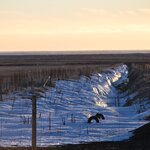 Photo taken by Sally L