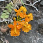 Photo taken by Kate R