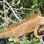 Photo taken by Kim C