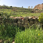 Ruins (and wildflowers) in Jerash | Photo taken by Jennifer K