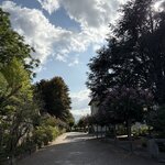 Photo taken by Shelley H