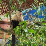 Photo taken by Darlene N