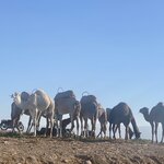 Photo taken by Paula F