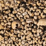 Photo taken by Wayne Z