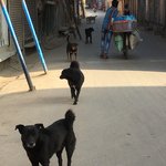 Photo taken by Susan H