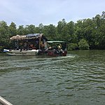 Boats laden with  tourist  punters  including  Burkah  clad women  on their  own. All outboards 15hp units by regulation ie restricted to keep water speeds down ! | Photo taken by Vicky V