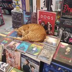 Photo taken by Bree J