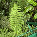 Photo taken by Victoria C