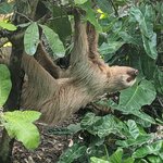 Photo taken by Jason C