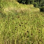 Photo taken by Amanda D