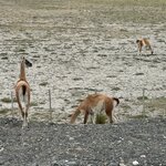 Photo taken by Rob G